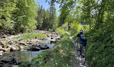 (c) Thomas Reamy, Naturpark Gantrisch